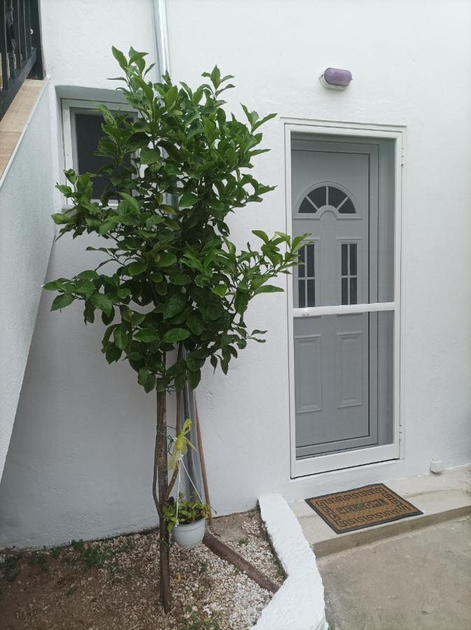 הוילה Skála Kallirákhis Georgechristi House מראה חיצוני תמונה
