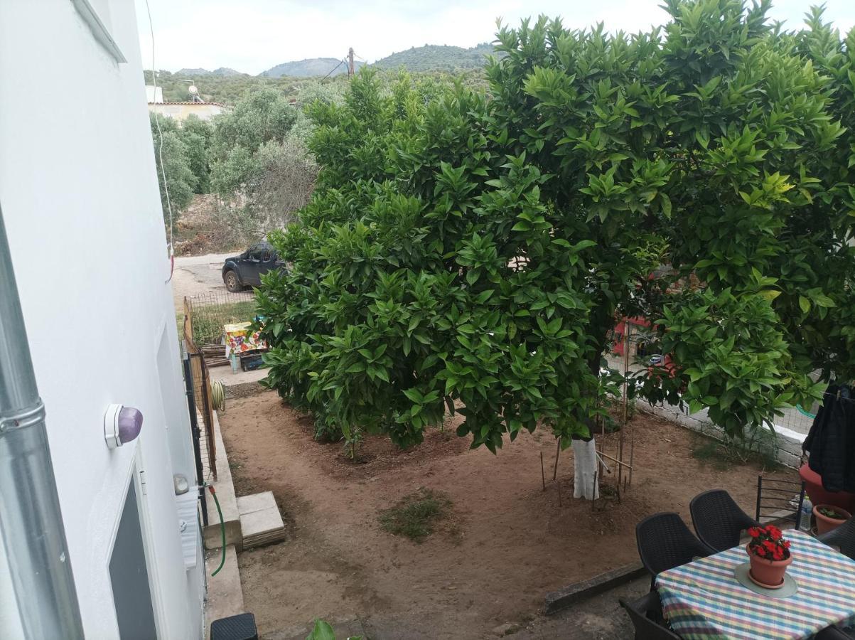 הוילה Skála Kallirákhis Georgechristi House מראה חיצוני תמונה